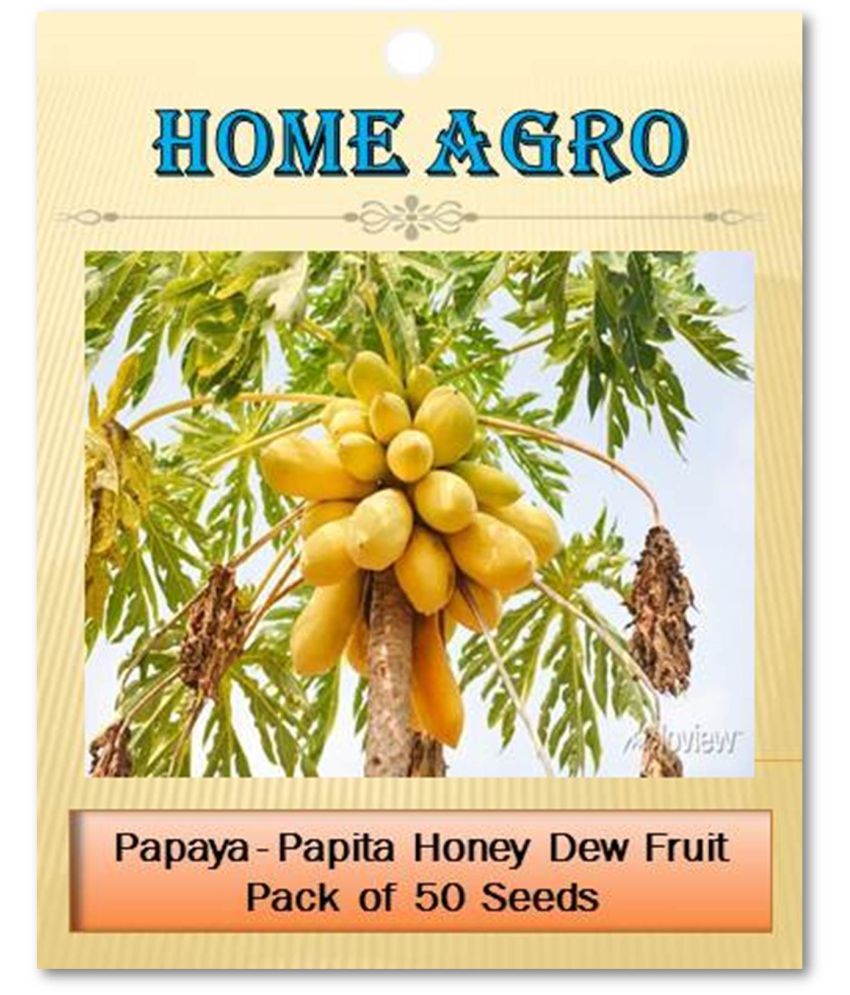     			homeagro - Fruit Seeds ( 50 - seed )