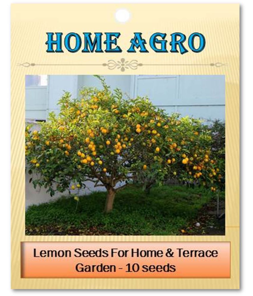     			homeagro - Vegetable Seeds ( 10 seed )