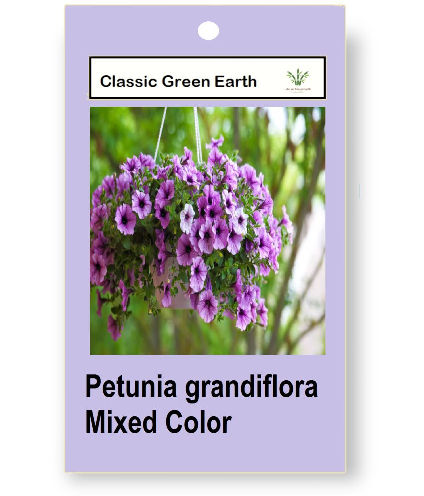     			CLASSIC GREEN EARTH - Flower Seeds ( Petunia grandiflora Mixed Color 200 seeds )