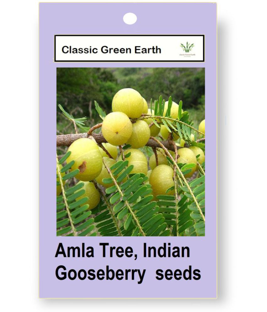     			CLASSIC GREEN EARTH - Fruit Seeds ( Amla Tree, Indian Gooseberry Big Fruit 20 Seeds )