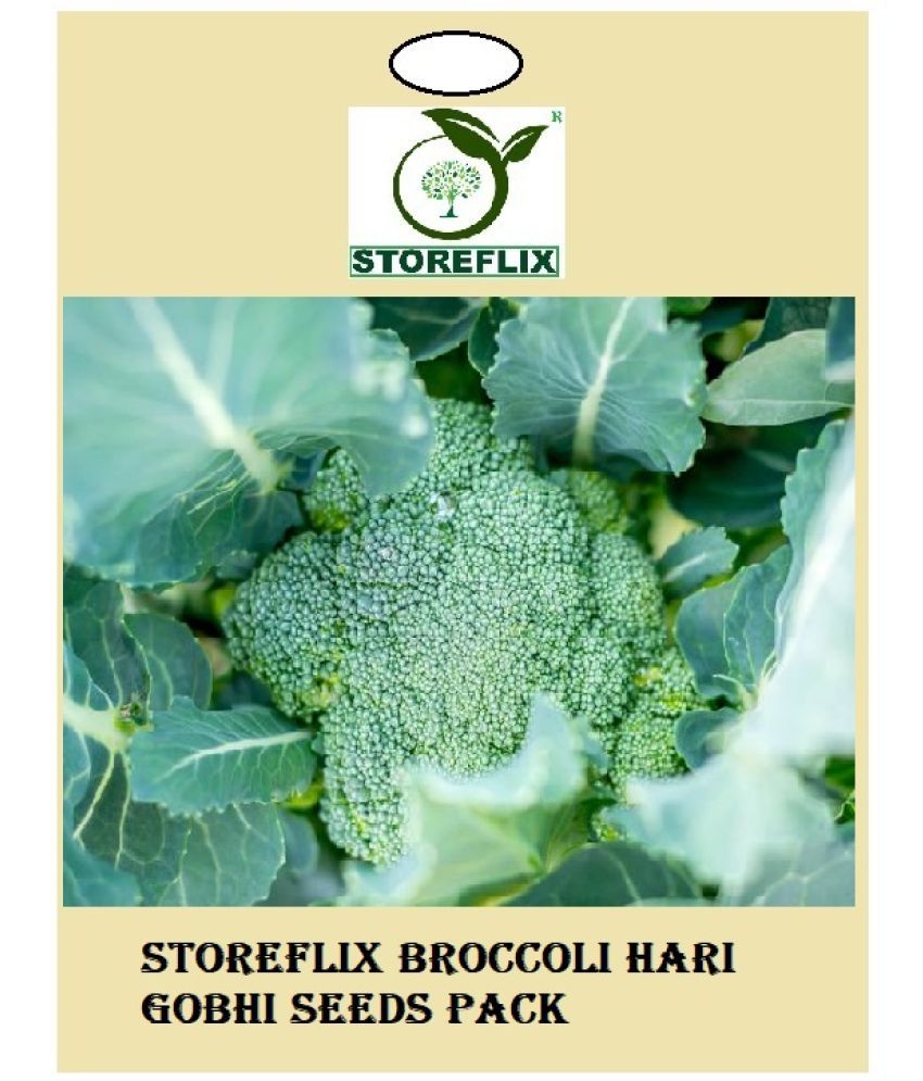 STOREFLIX Broccoli Vegetable ( 50 Seeds ) Buy STOREFLIX Broccoli