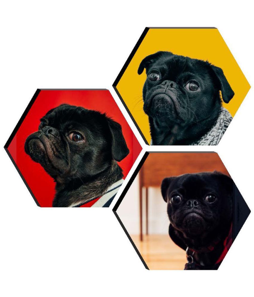 Saf Art Prints Without Frame Buy Saf Art Prints Without Frame at