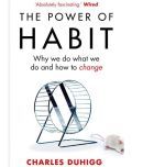 The Power of Habit : (Why We Do What We Do, and How to Change, English, Paperback, Duhigg Charles)