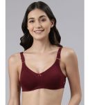 Dollar Missy - Maroon Cotton Blend Non Padded Women's Everyday Bra ( Pack of 1 )