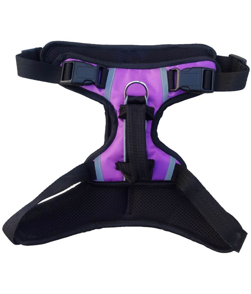     			Petshop7 - Purple Harness ( Medium )