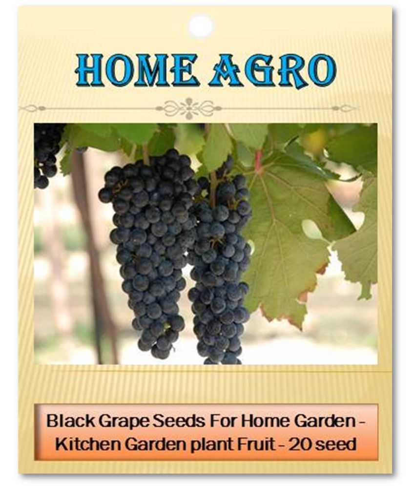     			homeagro - Black Grape Fruit ( 20 Seeds )