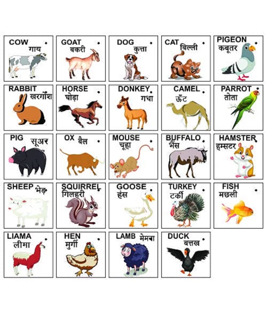 WISSEN Wooden Educatonal Domestic Animals Flash cards for Kids | Early Learning 24 Picture flash cards for kids & Babies 3 months to 6 years | Brain Development Study Material - Buy WISSEN Wooden Educatonal Domestic Animals Flash cards for Kids | Early Learning 24 Picture flash cards for kids & Babies 3 months to 6 years | Brain Development Study Material - Buy