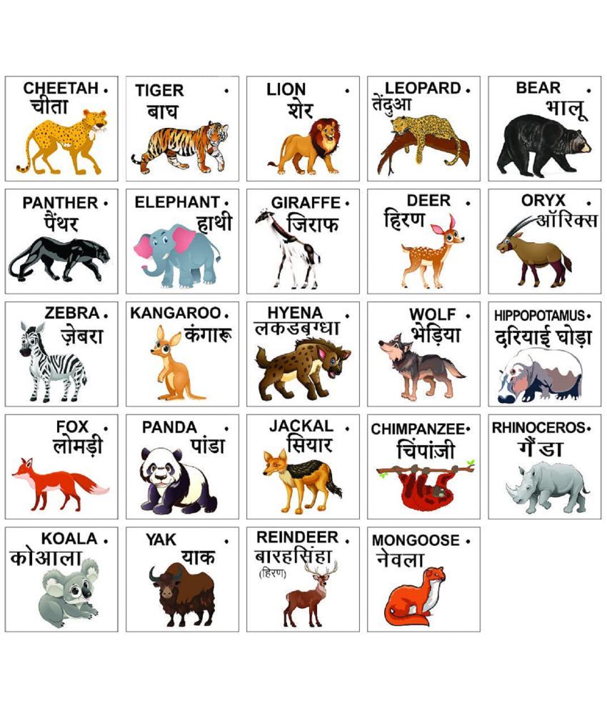 WISSEN Wooden Educatonal Wild Animals Flash cards for Kids | Early Learning 24 Picture flash cards for kids & Babies 3 months to 6 years | Brain Development Study Material - Buy WISSEN Wooden Educatonal Wild Animals Flash cards for Kids | Early Learning 24 Picture flash cards for kids & Babies 3 months to 6 years | Brain Development Study Material - Buy