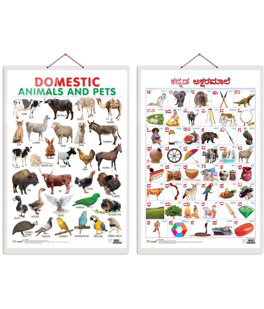     			Set of 2 Domestic Animals and Pets and Kannada Alphabet Early Learning Educational Charts for Kids | 20"X30" inch |Non-Tearable and Waterproof | Double Sided Laminated | Perfect for Homeschooling, Kindergarten and Nursery Students