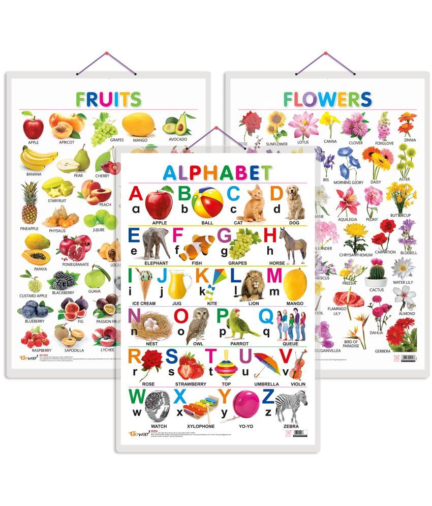     			Set of 3 Alphabet, Fruits and Flowers Early Learning Educational Charts for Kids | 20"X30" inch |Non-Tearable and Waterproof | Double Sided Laminated | Perfect for Homeschooling, Kindergarten and Nursery Students