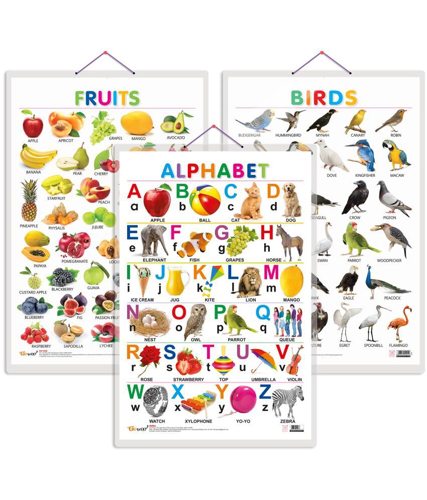     			Set of 3 Alphabet, Fruits and Birds Early Learning Educational Charts for Kids | 20"X30" inch |Non-Tearable and Waterproof | Double Sided Laminated | Perfect for Homeschooling, Kindergarten and Nursery Students