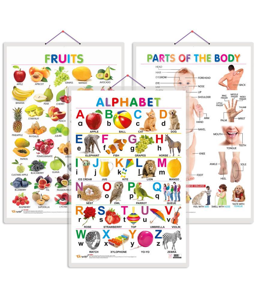     			Set of 3 Alphabet, Fruits and Parts of the Body Early Learning Educational Charts for Kids | 20"X30" inch |Non-Tearable and Waterproof | Double Sided Laminated | Perfect for Homeschooling, Kindergarten and Nursery Students
