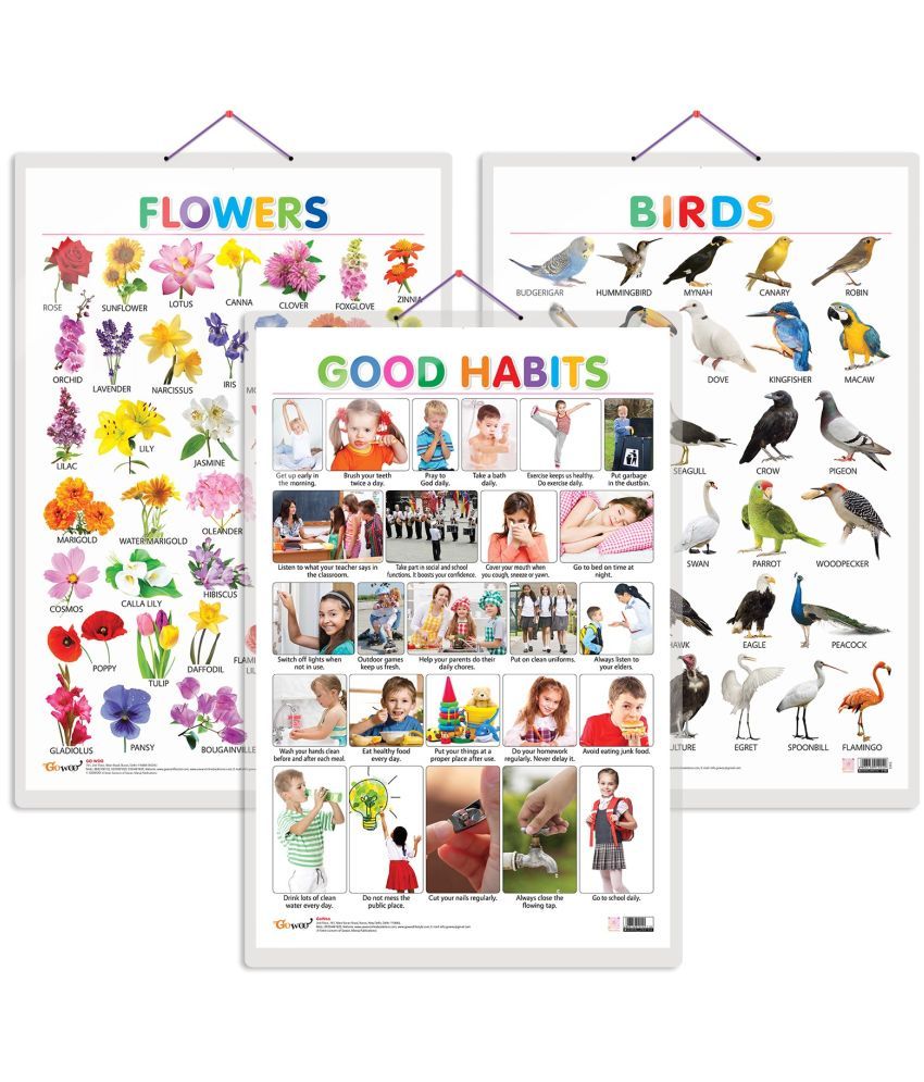     			Set of 3 Birds, Flowers and Good Habits Early Learning Educational Charts for Kids | 20"X30" inch |Non-Tearable and Waterproof | Double Sided Laminated | Perfect for Homeschooling, Kindergarten and Nursery Students