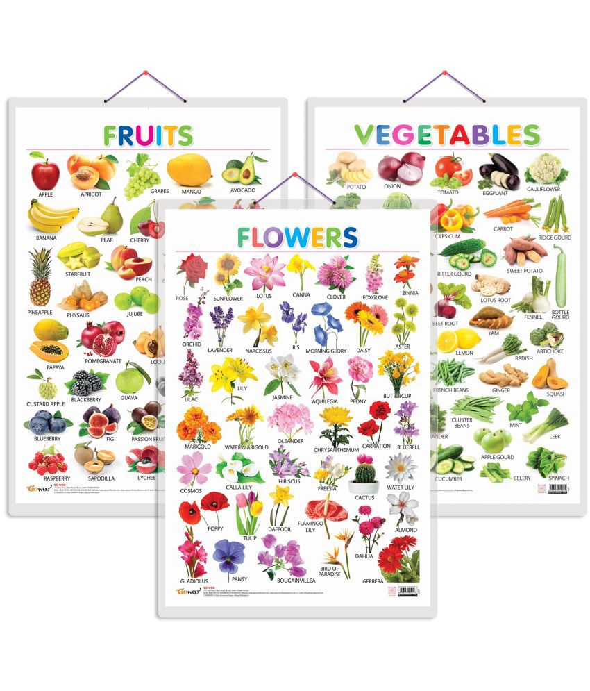     			Set of 3 Fruits, Vegetables and Flowers Early Learning Educational Charts for Kids | 20"X30" inch |Non-Tearable and Waterproof | Double Sided Laminated | Perfect for Homeschooling, Kindergarten and Nursery Students