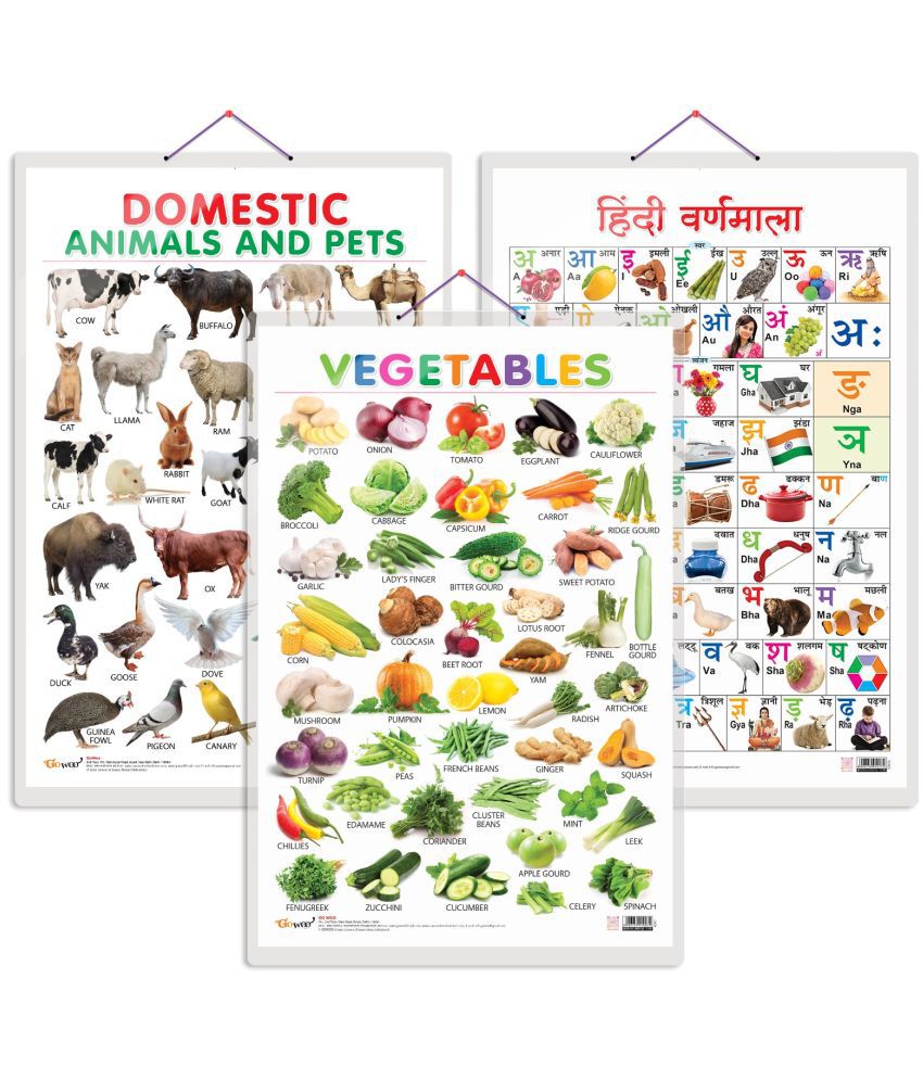     			Set of 3 Vegetables, Domestic Animals and Pets and Hindi Varnamala Early Learning Educational Charts for Kids | 20"X30" inch |Non-Tearable and Waterproof | Double Sided Laminated | Perfect for Homeschooling, Kindergarten and Nursery Students