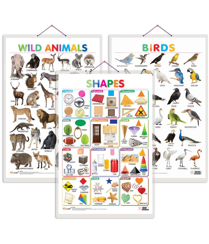     			Set of 3 Wild Animals, Birds and Shapes Early Learning Educational Charts for Kids | 20"X30" inch |Non-Tearable and Waterproof | Double Sided Laminated | Perfect for Homeschooling, Kindergarten and Nursery Students