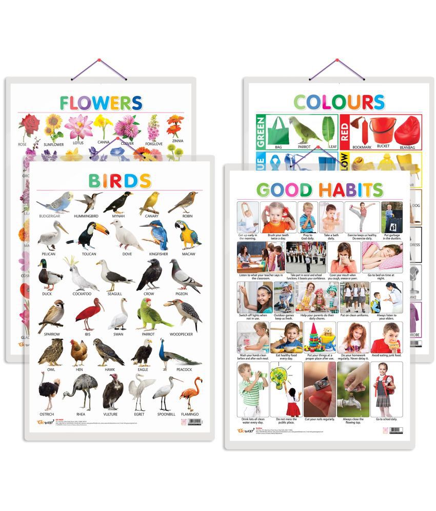     			Set of 4 Birds, Flowers, Colours and Good Habits Early Learning Educational Charts for Kids | 20"X30" inch |Non-Tearable and Waterproof | Double Sided Laminated | Perfect for Homeschooling, Kindergarten and Nursery Students