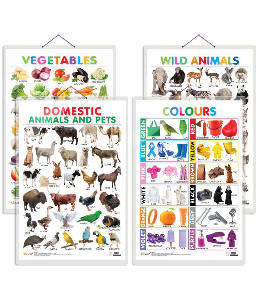     			Set of 4 Vegetables, Domestic Animals and Pets, Wild Animals and Colours Early Learning Educational Charts for Kids | 20"X30" inch |Non-Tearable and Waterproof | Double Sided Laminated | Perfect for Homeschooling, Kindergarten and Nursery Students