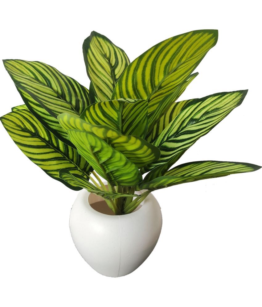     			BAARIG - Off White Evergreen Artificial Plants Bunch ( Pack of 1 )