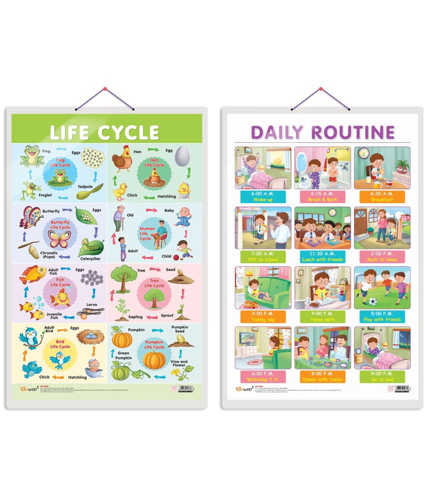     			Set of 2 Life Cycle and DAILY ROUTINE Early Learning Educational Charts for Kids | 20"X30" inch |Non-Tearable and Waterproof | Double Sided Laminated | Perfect for Homeschooling, Kindergarten and Nursery Students