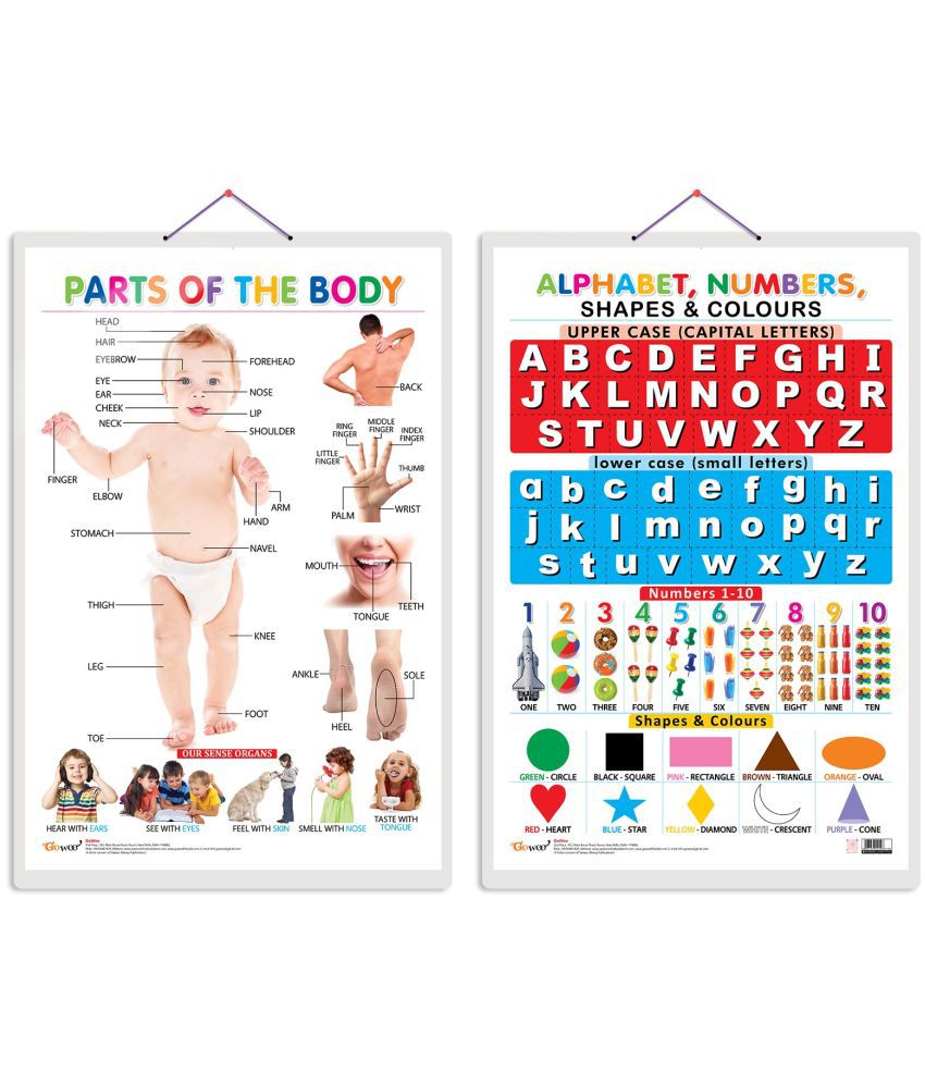     			Set of 2 Parts of the Body and Alphabet, Numbers, Shapes & Colours Early Learning Educational Charts for Kids | 20"X30" inch |Non-Tearable and Waterproof | Double Sided Laminated | Perfect for Homeschooling, Kindergarten and Nursery Students