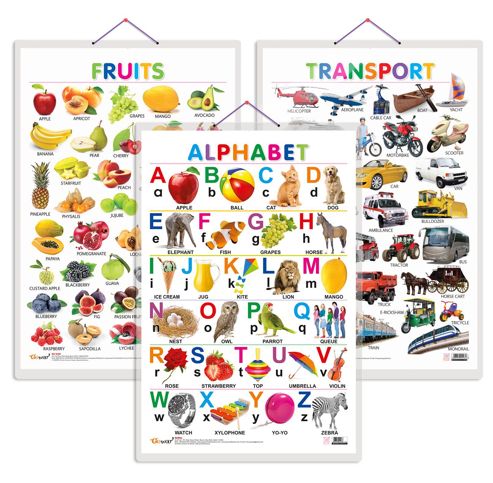    			Set of 3 Alphabet, Fruits and Transport Early Learning Educational Charts for Kids | 20"X30" inch |Non-Tearable and Waterproof | Double Sided Laminated | Perfect for Homeschooling, Kindergarten and Nursery Students