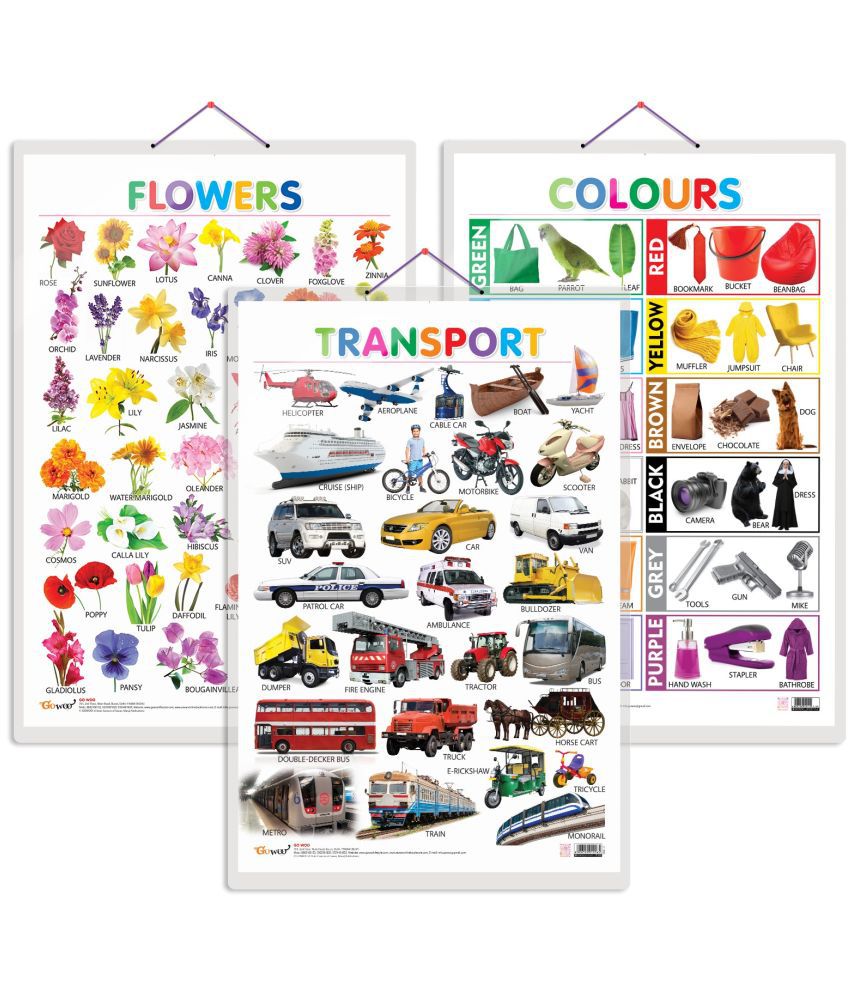     			Set of 3 Flowers, Colours and Transport Words Early Learning Educational Charts for Kids | 20"X30" inch |Non-Tearable and Waterproof | Double Sided Laminated | Perfect for Homeschooling, Kindergarten and Nursery Students