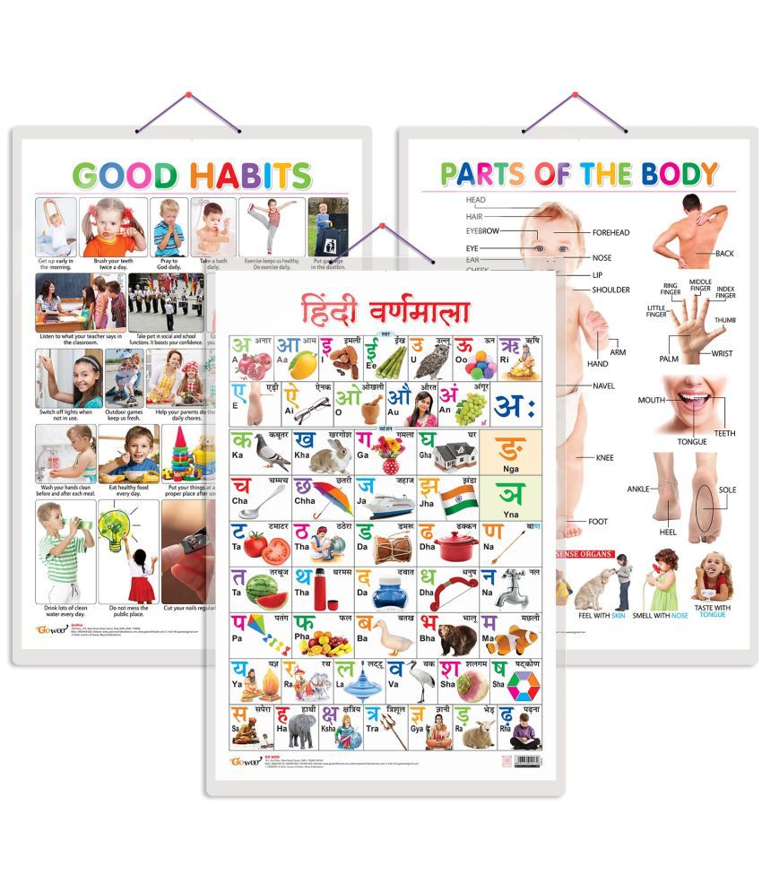     			Set of 3 Parts of the Body, Good Habits and Hindi Varnamala Early Learning Educational Charts for Kids | 20"X30" inch |Non-Tearable and Waterproof | Double Sided Laminated | Perfect for Homeschooling, Kindergarten and Nursery Students