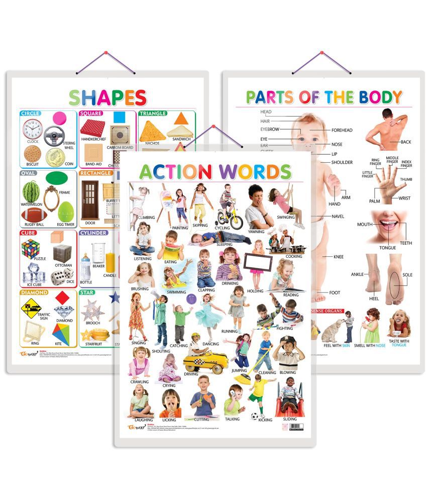     			Set of 3 Shapes, Parts of the Body and Action Words Chart for Kids | 20"X30" inch |Non-Tearable and Waterproof | Double Sided Laminated | Perfect for Homeschooling, Kindergarten and Nursery Students