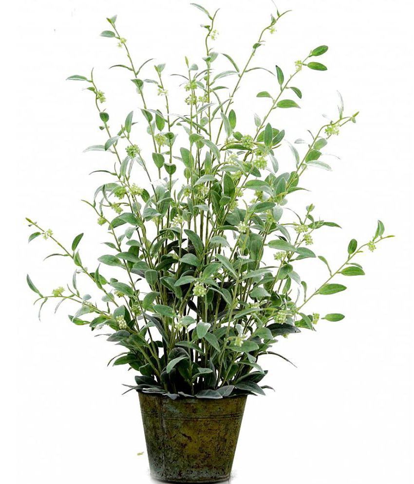     			Garden Art - Green Evergreen Artificial Flowers With Pot ( Pack of 1 )