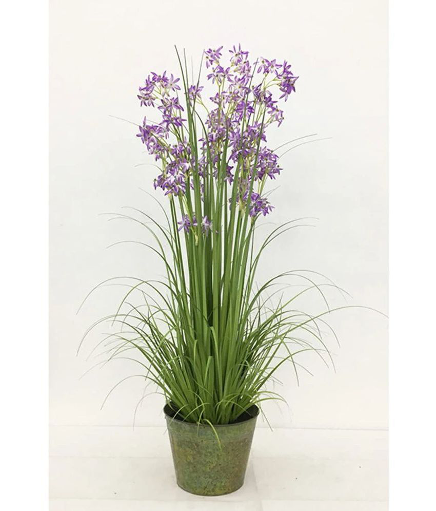     			Garden Art - Purple Evergreen Artificial Flower ( Pack of 1 )