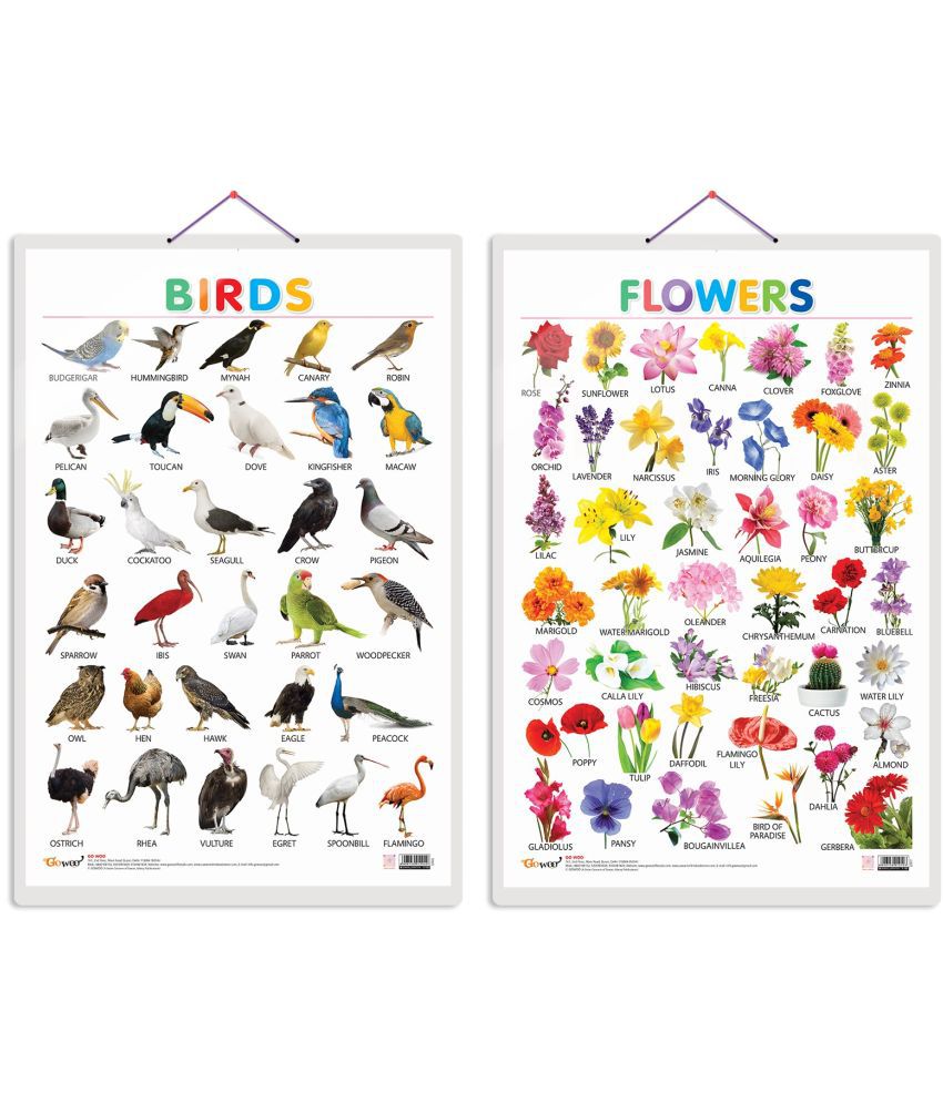     			Set of 2 Birds and Flowers Early Learning Educational Charts for Kids | 20"X30" inch |Non-Tearable and Waterproof | Double Sided Laminated | Perfect for Homeschooling, Kindergarten and Nursery Students