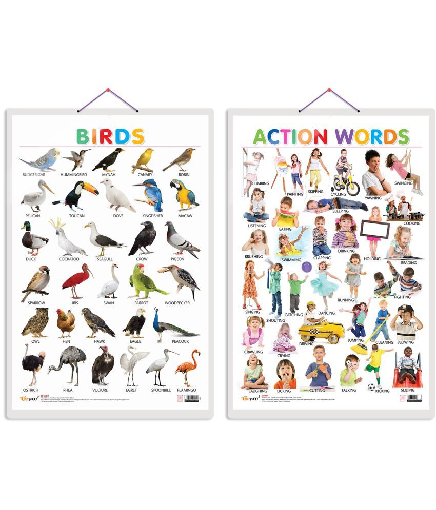     			Set of 2 Birds and Action Words Early Learning Educational Charts for Kids | 20"X30" inch |Non-Tearable and Waterproof | Double Sided Laminated | Perfect for Homeschooling, Kindergarten and Nursery Students