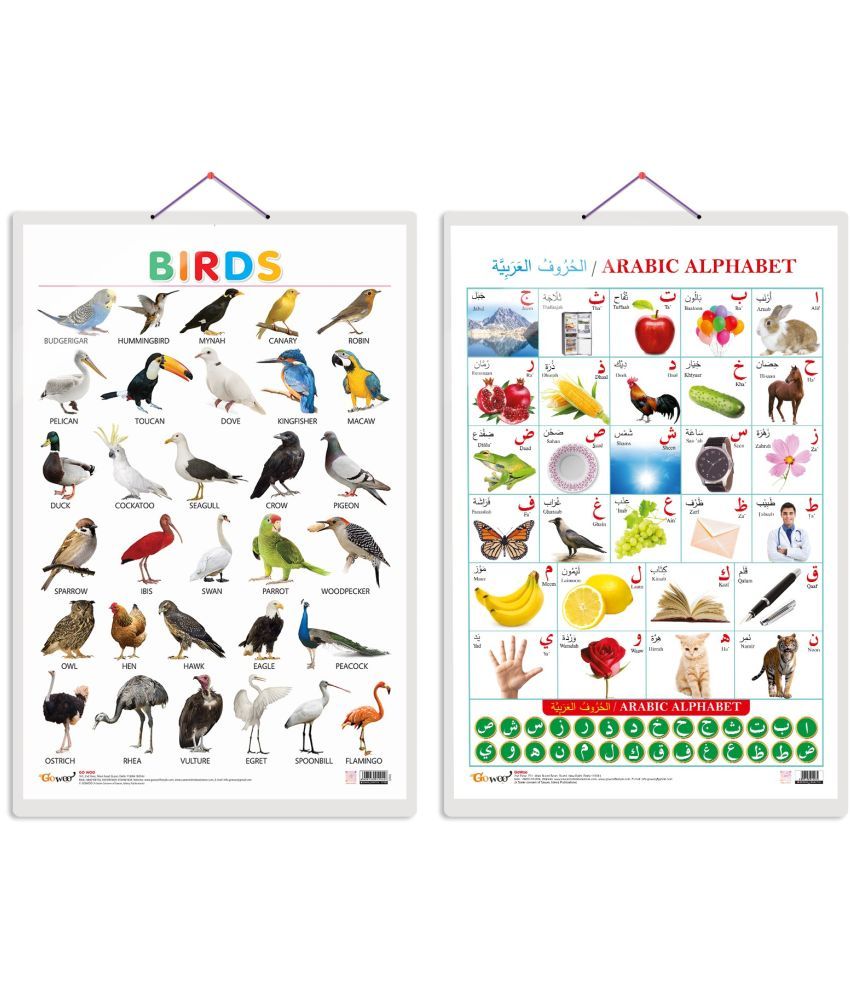     			Set of 2 Birds and Arabic Alphabet (Arabic) Early Learning Educational Charts for Kids | 20"X30" inch |Non-Tearable and Waterproof | Double Sided Laminated | Perfect for Homeschooling, Kindergarten and Nursery Students