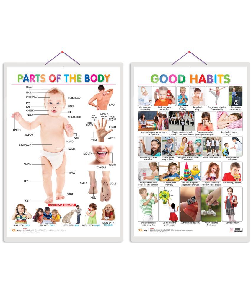     			Set of 2 Parts of the Body and Good Habits Early Learning Educational Charts for Kids | 20"X30" inch |Non-Tearable and Waterproof | Double Sided Laminated | Perfect for Homeschooling, Kindergarten and Nursery Students