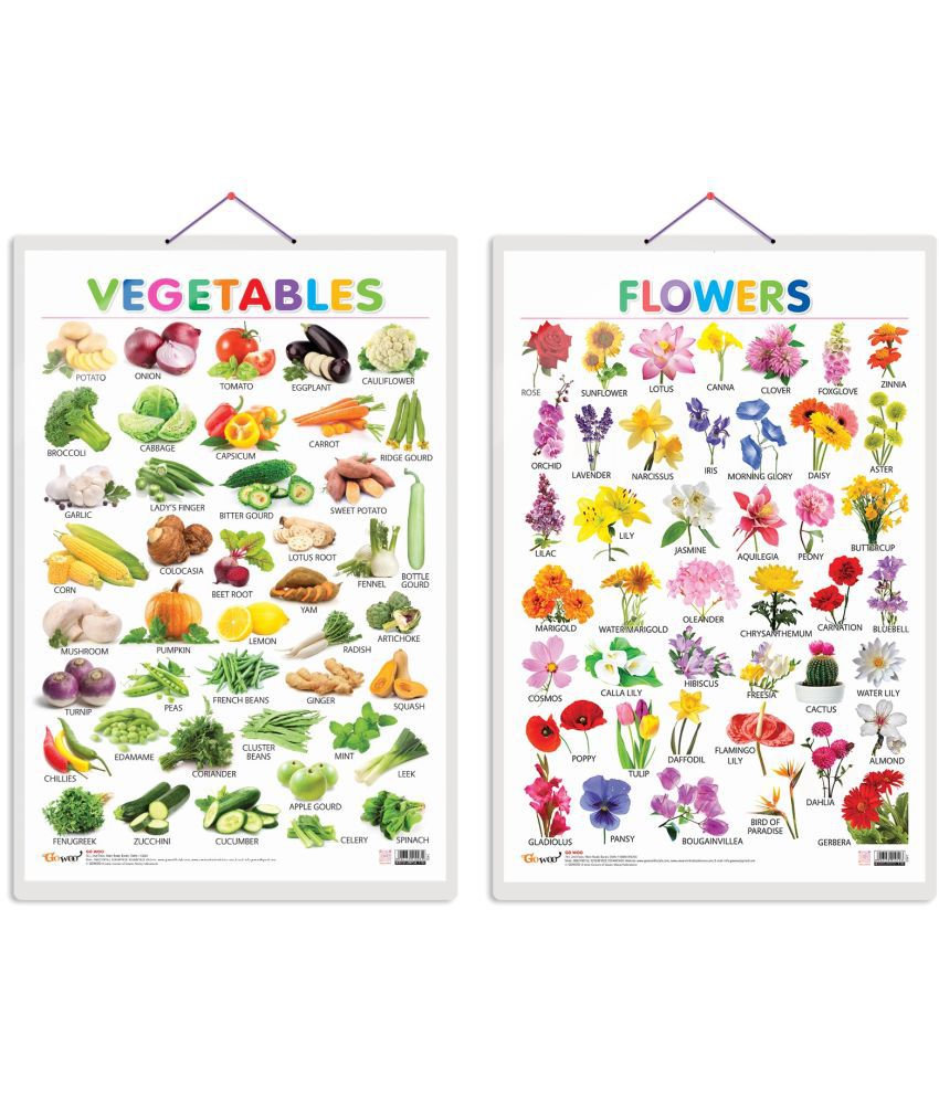     			Set of 2 Vegetables and Flowers Early Learning Educational Charts for Kids | 20"X30" inch |Non-Tearable and Waterproof | Double Sided Laminated | Perfect for Homeschooling, Kindergarten and Nursery Students