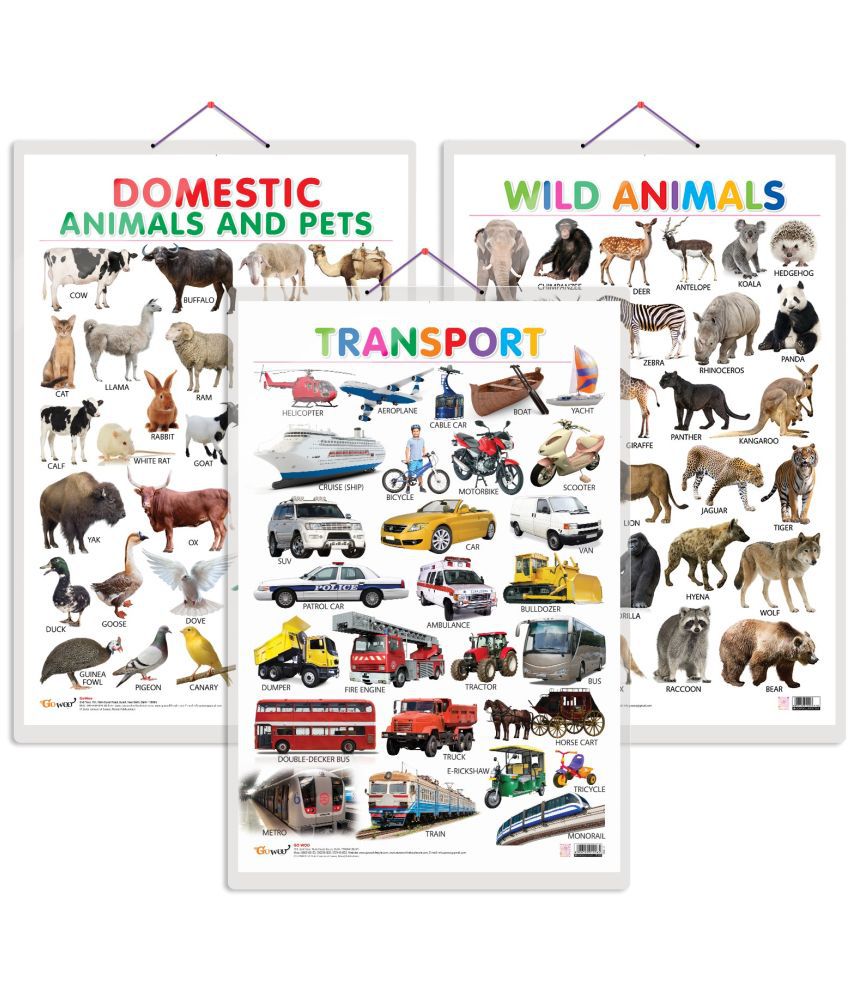     			Set of 3 Domestic Animals and Pets, Wild Animals and Transport Early Learning Educational Charts for Kids | 20"X30" inch |Non-Tearable and Waterproof | Double Sided Laminated | Perfect for Homeschooling, Kindergarten and Nursery Students