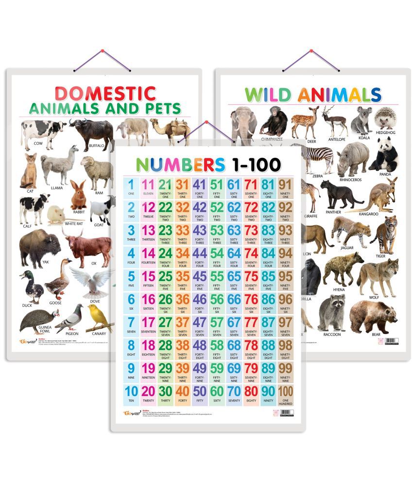     			Set of 3 Domestic Animals and Pets, Wild Animals and Numbers 1-100 Early Learning Educational Charts for Kids | 20"X30" inch |Non-Tearable and Waterproof | Double Sided Laminated | Perfect for Homeschooling, Kindergarten and Nursery Students
