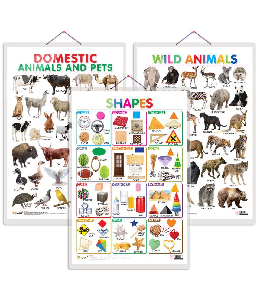     			Set of 3 Domestic Animals and Pets, Wild Animals and Shapes Early Learning Educational Charts for Kids | 20"X30" inch |Non-Tearable and Waterproof | Double Sided Laminated | Perfect for Homeschooling, Kindergarten and Nursery Students