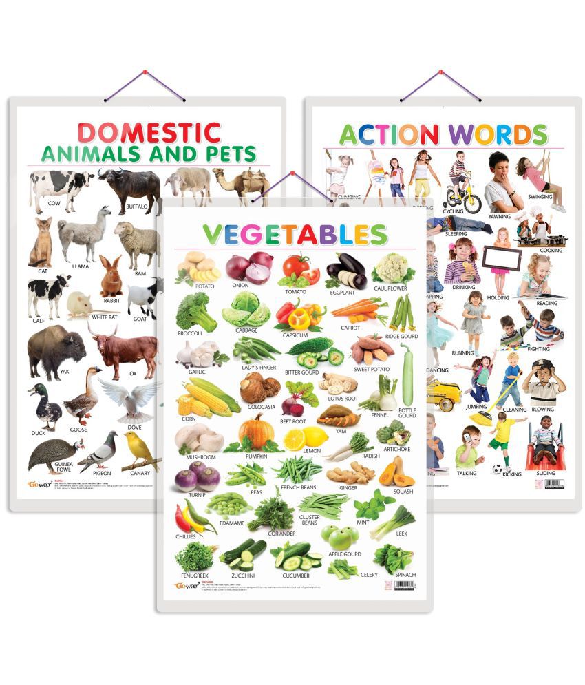     			Set of 3 Vegetables, Domestic Animals and Pets and Action Words Early Learning Educational Charts for Kids | 20"X30" inch |Non-Tearable and Waterproof | Double Sided Laminated | Perfect for Homeschooling, Kindergarten and Nursery Students