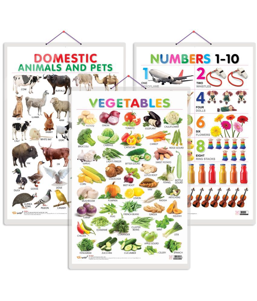    			Set of 3 Vegetables, Domestic Animals and Pets and Numbers 1-10 Early Learning Educational Charts for Kids | 20"X30" inch |Non-Tearable and Waterproof | Double Sided Laminated | Perfect for Homeschooling, Kindergarten and Nursery Students