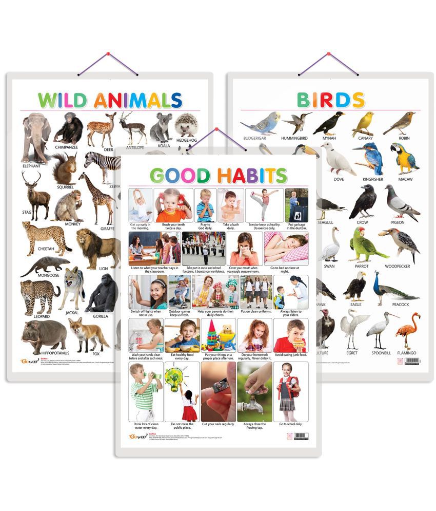     			Set of 3 Wild Animals, Birds and Good Habits Early Learning Educational Charts for Kids | 20"X30" inch |Non-Tearable and Waterproof | Double Sided Laminated | Perfect for Homeschooling, Kindergarten and Nursery Students