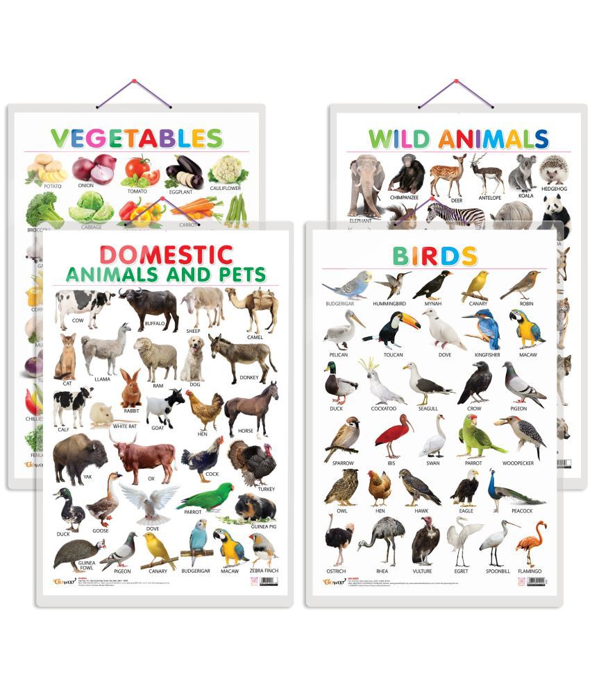     			Set of 4 Vegetables, Domestic Animals and Pets, Wild Animals and Birds Early Learning Educational Charts for Kids | 20"X30" inch |Non-Tearable and Waterproof | Double Sided Laminated | Perfect for Homeschooling, Kindergarten and Nursery Students