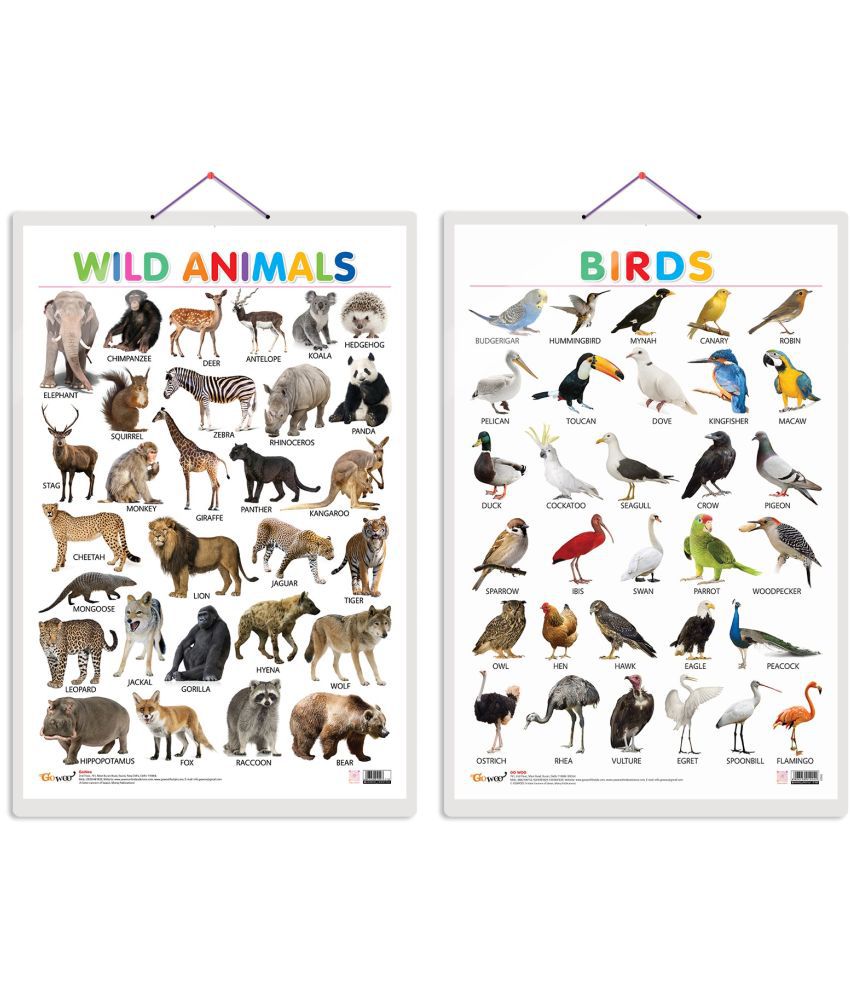     			Set of 2 Wild Animals and Birds Early Learning Educational Charts for Kids | 20"X30" inch |Non-Tearable and Waterproof | Double Sided Laminated | Perfect for Homeschooling, Kindergarten and Nursery Students