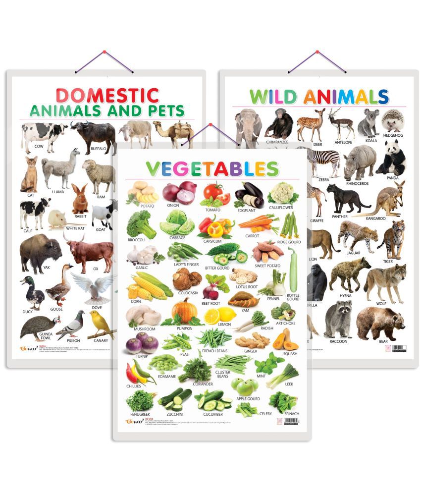     			Set of 3 Vegetables, Domestic Animals and Pets and Wild Animals Early Learning Educational Charts for Kids | 20"X30" inch |Non-Tearable and Waterproof | Double Sided Laminated | Perfect for Homeschooling, Kindergarten and Nursery Students