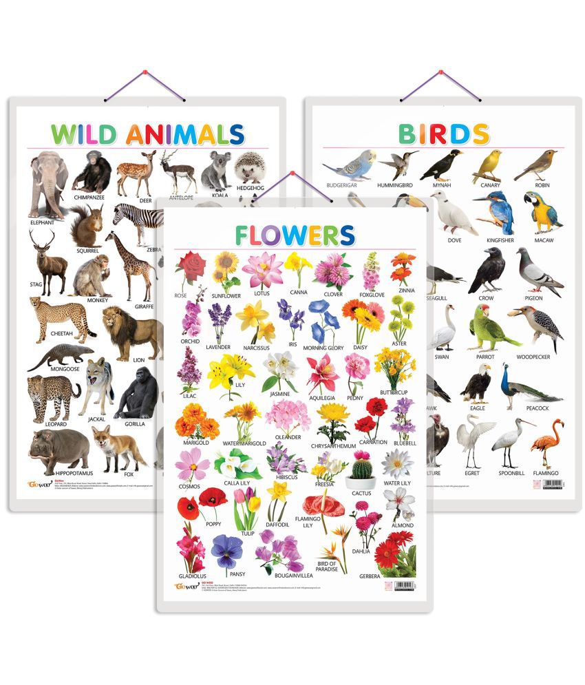    			Set of 3 Wild Animals, Birds and Flowers Early Learning Educational Charts for Kids | 20"X30" inch |Non-Tearable and Waterproof | Double Sided Laminated | Perfect for Homeschooling, Kindergarten and Nursery Students