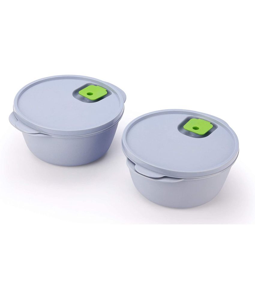     			Oliveware - Plastic Blue Food Container ( Set of 2 )