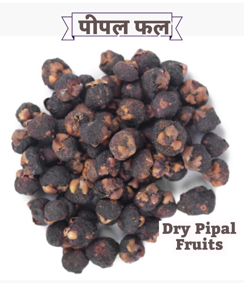     			SS520 Dried Pipal Phal 400g. Peepal Fal Pipal Tree Fruits Ficus religiosa 400 gm