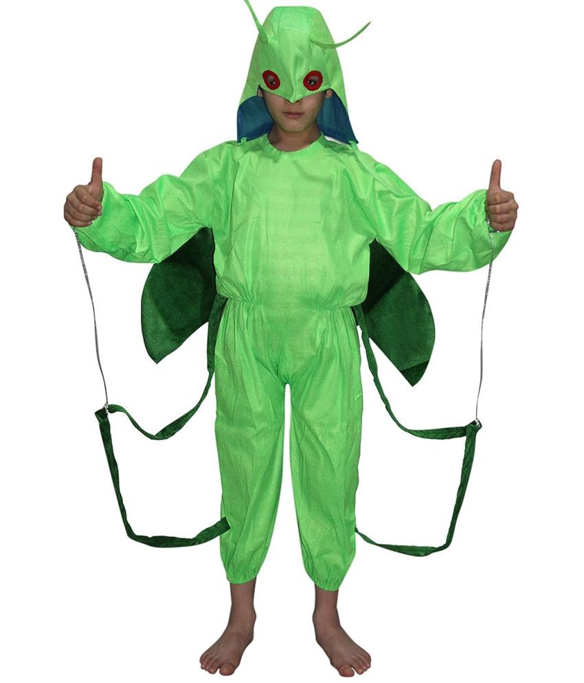     			Kaku Fancy Dresses Grasshopper Insect Costume -Green, 3-4 Years, For Boys & Girls