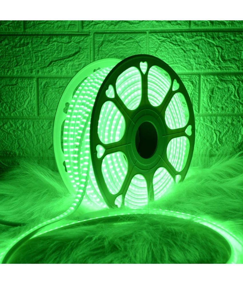     			ASTERN - Green 5Mtr LED Rope Light ( Pack of 1 )